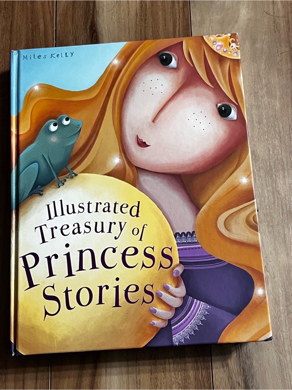 Illustrated Treasurey Of Princess Stories Children’s